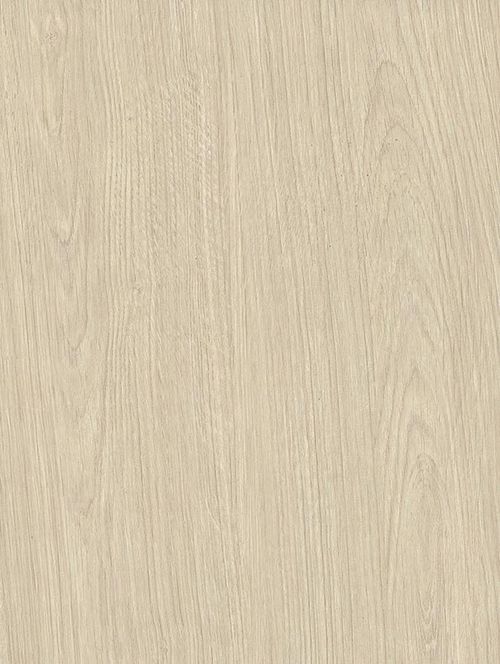 Folia architektoniczna w kolorze jasnego dębu Biscuit Oak