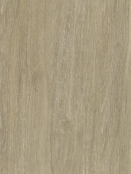 Folia architektoniczna w kolorze bleached grey oak